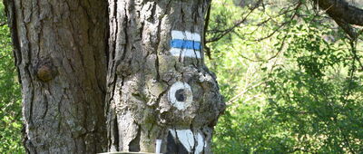 Przełęcz pod Dębim Wierchem