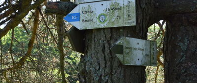 Przełęcz pod Dębim Wierchem