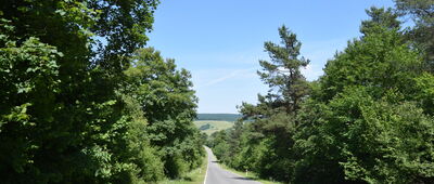 Ożenna, Ośrodek Edukacji Ekologicznej ↔ Przełęcz Beskid nad Ożenną