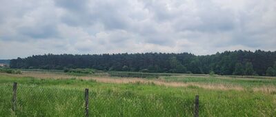 Boguszyce, rozejście szlaków ↔ Boguszyce