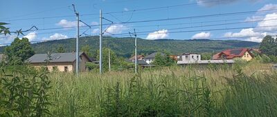 Wilkowice, stacja kolejowa