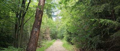 Magurka Wilkowicka ↔ Wilkowice, ul. Strażacka