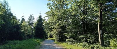 Pod Magurką ↔ Magurka Wilkowicka