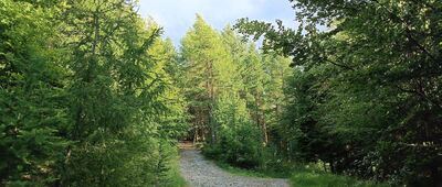 Pod Sokołówką ↔ Magurka