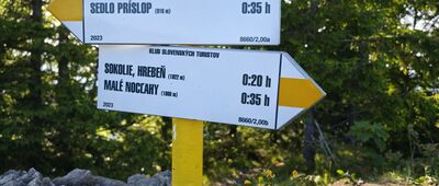 Sedlo Prislop ↔ Sokolie, hrebeň