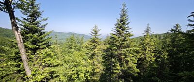 Skrzyżowanie pod Smerkowicą