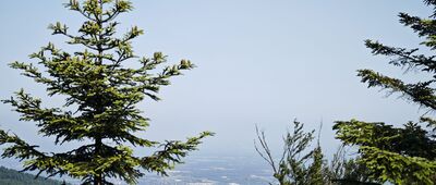 Skrzyżowanie pod Smerkowicą