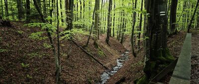 Górna Wetlinka, kemping ↔ Końska Droga