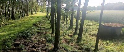 Stawy Zaborze ↔ Łazy