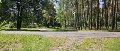 Rozejście szlaków ↔ Zajączkowo-Huby [Wyjście na drogę asfaltową w Zajączkowie. Od Ostrorogu jest to pierwsze miejsce, gdzie przez kilkanaście minut nie dostrzegłem oznaczeń szlaku. Tu trzeba skręcić w prawo – kolejne oznaczenie znalazłem ok. 1,5 km dalej na drodze gruntowej za Zajączkowem.]