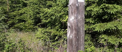 Rozejście szlaków ↔ Rozejście pod Stachoniem