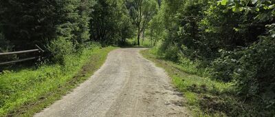 Olchowiec ↔ Olchowiec, granica parku narodowego