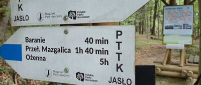 Przełęcz Szarbowska