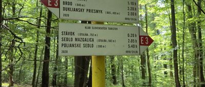 Pod Baranim ↔ Przełęcz Szarbowska