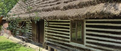 Olchowiec, granica parku narodowego ↔ Olchowiec