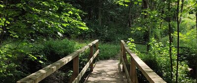 Łopusze Zachodnie ↔ Przełęcz Widoma