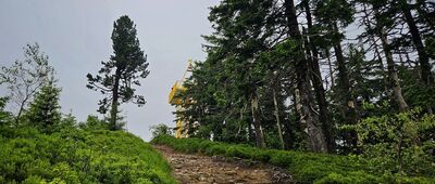 Rozejście szlaków ↔ Barania Góra