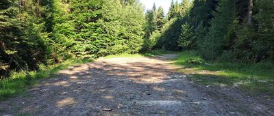 Korbielów, ul. Leśna ↔ Przełęcz Przysłopy