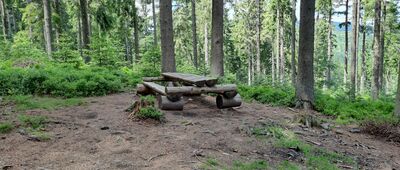 Sopotnia Wielka, Kolonia ↔ Schronisko PTTK Na Rysiance