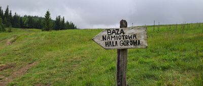 Przełęcz Buczynka ↔ Baza namiotowa Hala Górowa