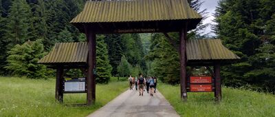 Koninki, Tobołów ↔ Hucisko