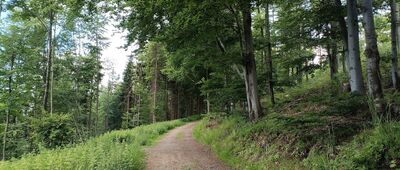 Nad Milíkovem ↔ Kozubova, salaš