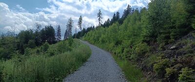 Nad Milíkovem ↔ Kozubova, salaš