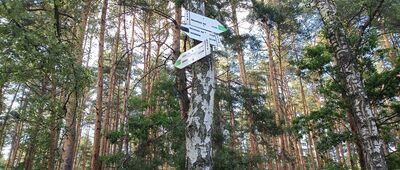 Centrum Konferencyjno-Szkoleniowe Poraj