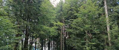 U Kamenitého, rozc.