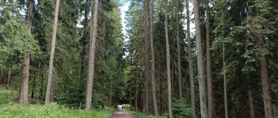 U Kamenitého, rozc.