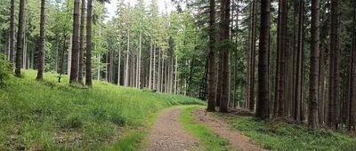 Babí Vrch, rozc. ↔ Kamenitý, turisticka chata