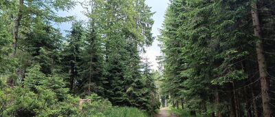 Kalužný, rozc. ↔ Babí Vrch, rozc.