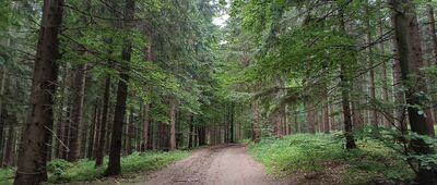 U Kalužného ↔ Kalužný, rozc.