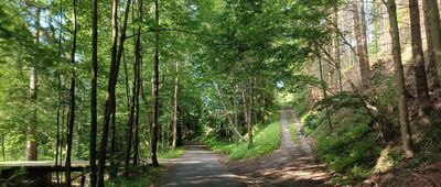 Tyra, pod Ostrým, hájenka ↔ U Kalužného