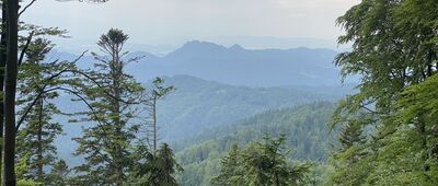 Szczawnica, Na Potoku ↔ Skrzyżowanie pod Przehybą