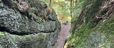 Oldřichovský Špičák