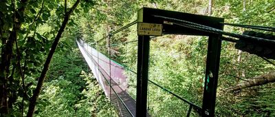 Kláštorská roklina, ústie