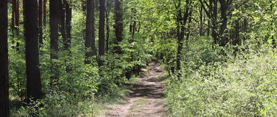 Ścieżka na punkt widokowy ↔ Ścieżka na punkt widokowy