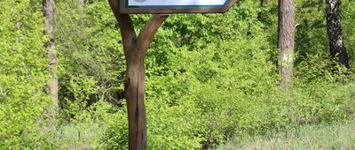 Rozejście szlaków ↔ Leśniewo