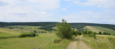Ożenna, cmentarz wojenny ↔ Ożenna, granica parku narodowego