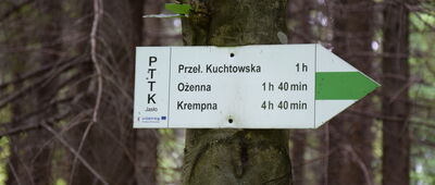 Przełęcz Filipowska