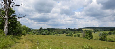 Rozejście szlaków ↔ Nad Przełęczą Kuchtowską