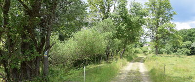 Ożenna, cmentarz wojenny ↔ Rozejście szlaków