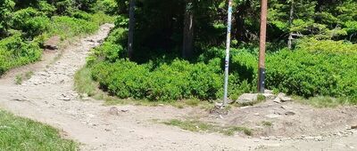 Sowia Przełęcz, odejście szlaku niebieskiego