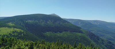 Sowia Przełęcz, odejście szlaku niebieskiego ↔ Skalny Stół