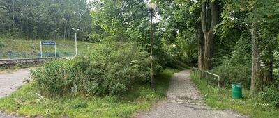 Duszniki-Zdrój, Rynek ↔ Duszniki-Zdrój, stacja kolejowa