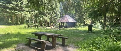 Droga Justyny, parking leśny