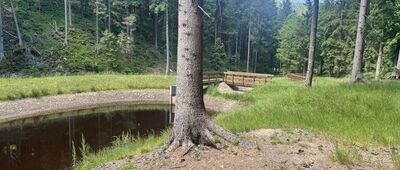 Droga Justyny, parking leśny