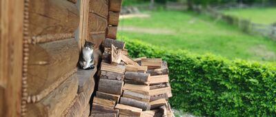 Grabowa, Ogród Bajek ↔ Grabowa