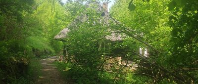 Kozubnik ↔ Pod Żarem, odejście szlaku czarnego